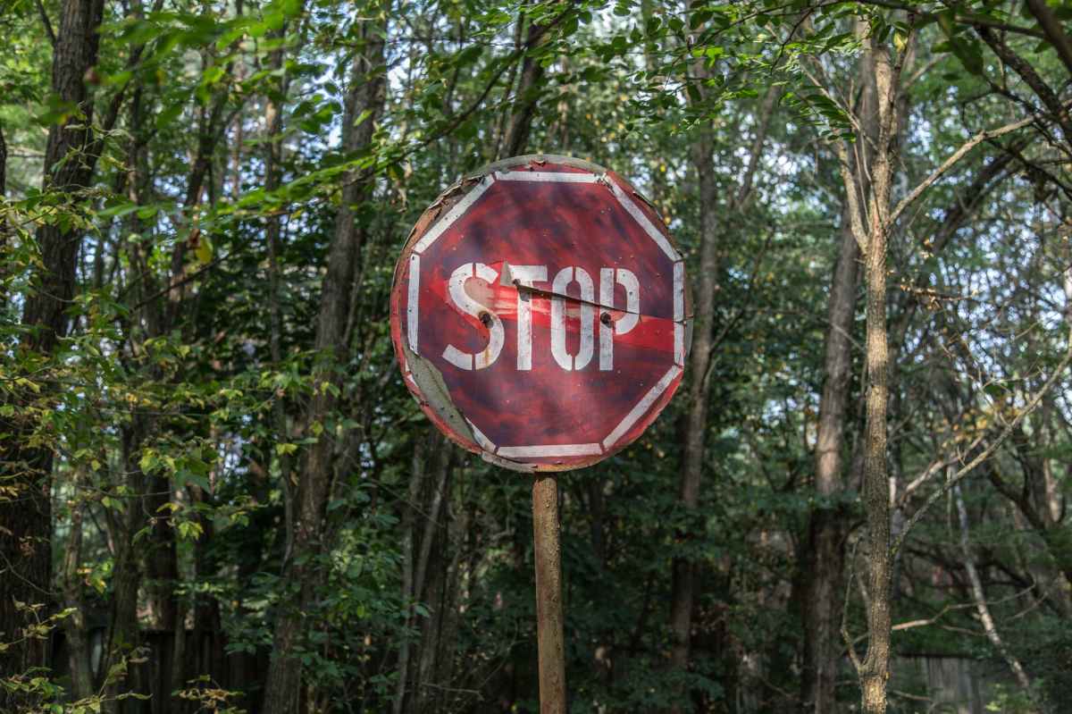 photo of an old peeling stop sign with a forest behind it