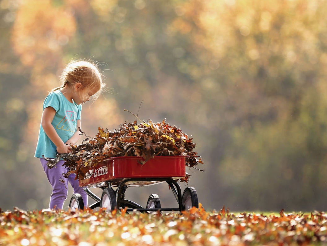 The image in Elyana's example. A young blonde girl in brightly colored clothing collecting autumn leaves in her shiny red wagon.