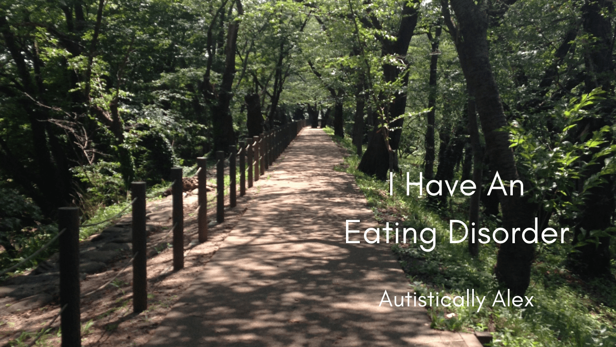 A photograph of a sunny path in the woods with shadows from the trees stretching across it.